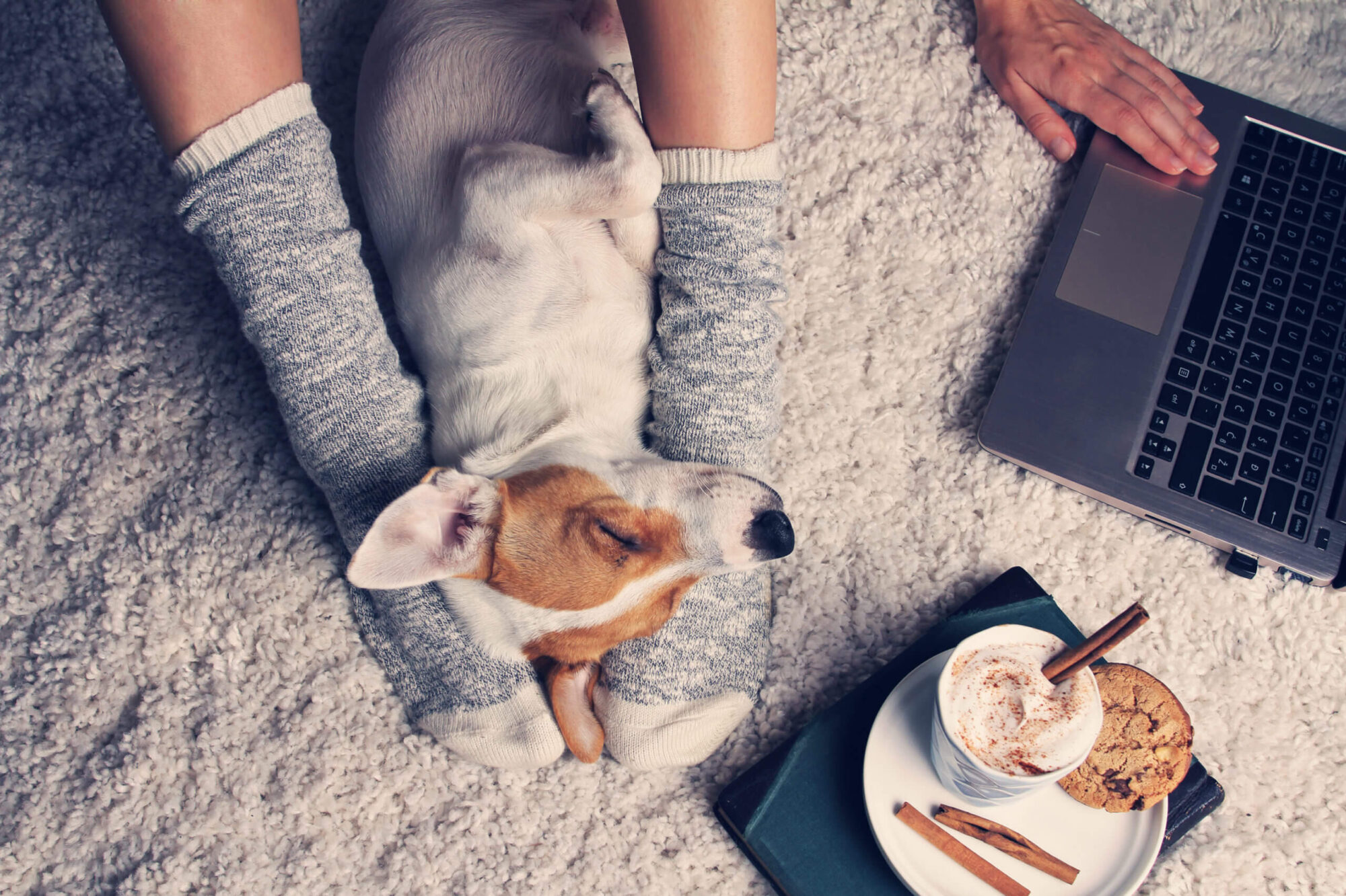 Dog laying between person's feet