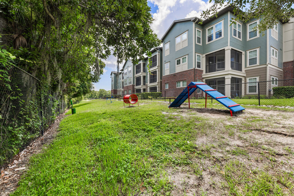 An outdoor dog park with agility equipment, including a blue ramp and a red tunnel, is next to a fenced grassy area by apartment buildings on a sunny day.