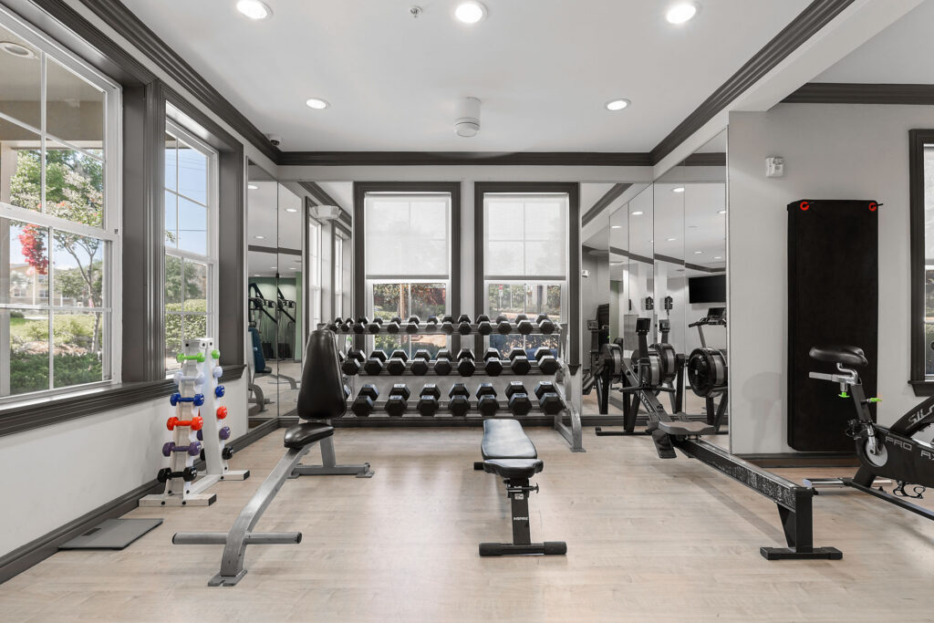 A modern gym with dumbbells, weight bench, exercise bikes, rowing machines, mirrors, and windows letting in natural light.
